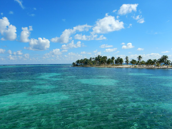 DiveBelize Nov19 1127.jpg
