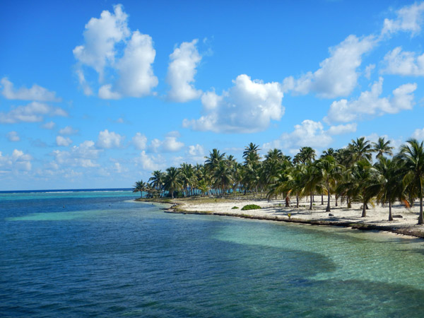DiveBelize Nov19 1131.jpg