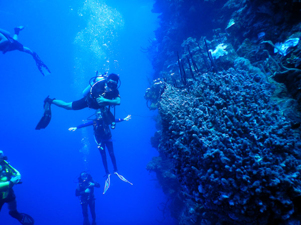 DiveBelize Nov19 1328.jpg