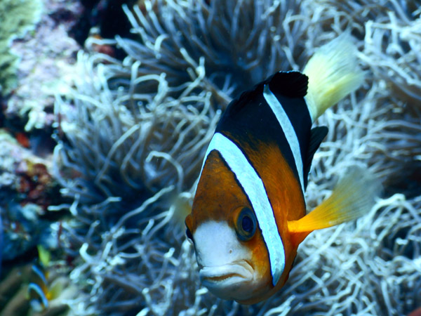 PuertoGalera Feb20 1072.jpg