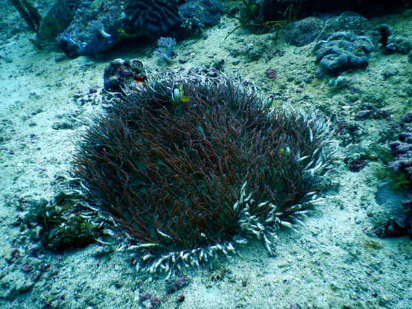 PuertoGalera Feb20 1521.jpg