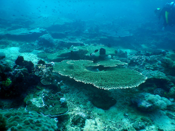 PuertoGalera Feb20 1524.jpg