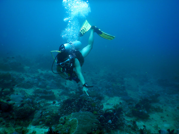 PuertoGalera Feb20 1559.jpg