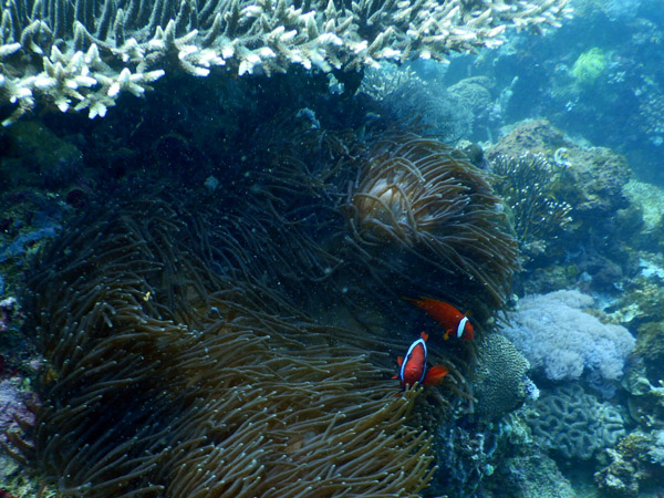 PuertoGalera Feb20 1572.jpg