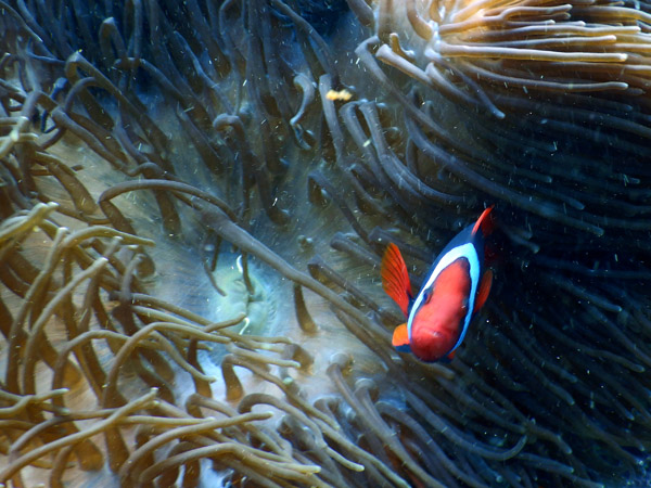 PuertoGalera Feb20 1573.jpg