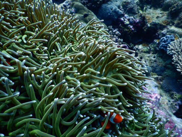 PuertoGalera Feb20 1580.jpg