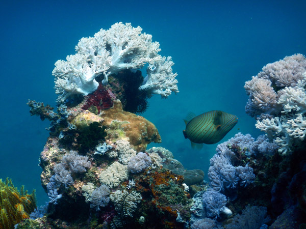 PuertoGalera Feb20 1589.jpg