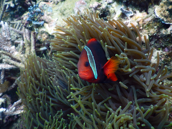 PuertoGalera Feb20 1605.jpg