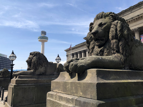 Lions in front of St. George's Hall, Liverpool