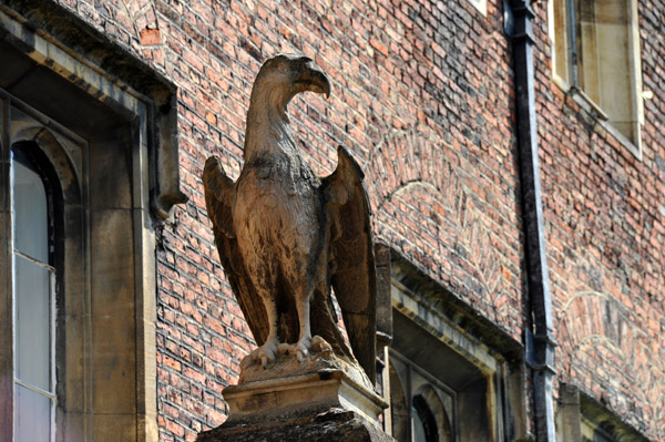 Perched Eagle, St. John's College