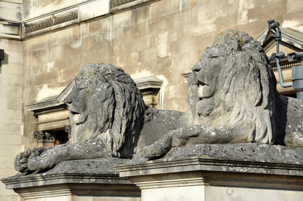 The Fitzwilliam Museum lions