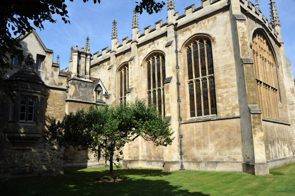 Newton's Apple Tree, Trinity College Chapel