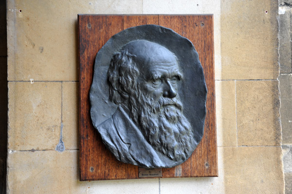 Charles Darwin, Christ's College