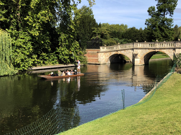 Clare College Bridge from the Back Lawn of King's College