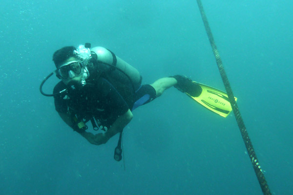 DiveSamui Mar18 011.jpg