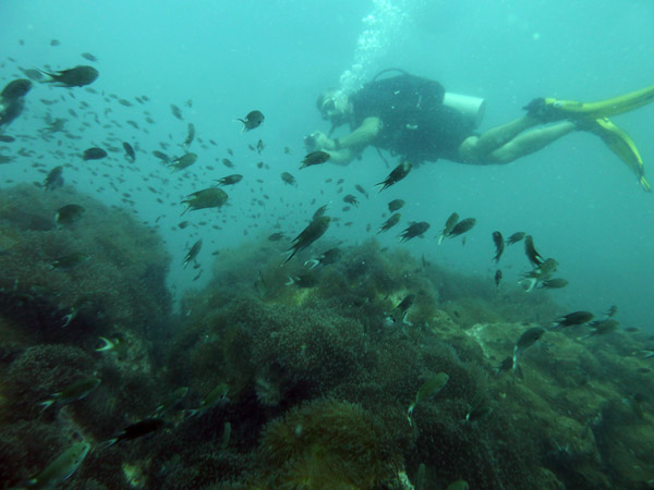 DiveSamui Mar18 020.jpg