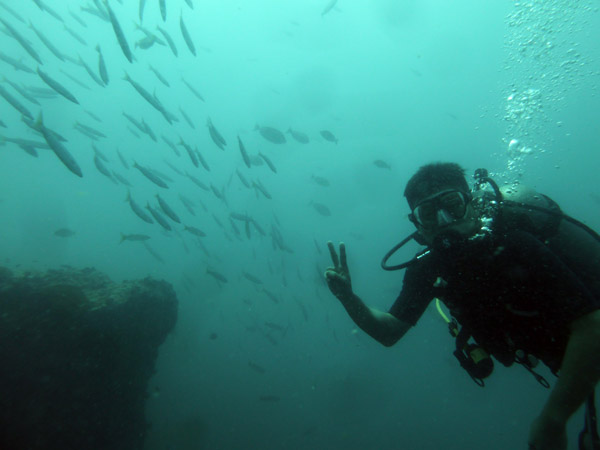 DiveSamui Mar18 032.jpg
