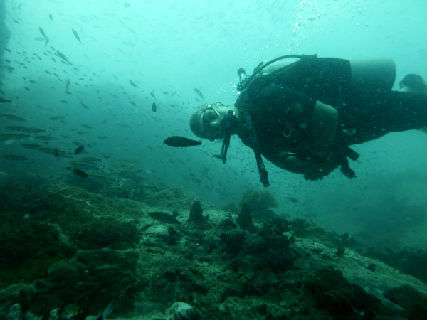 DiveSamui Mar18 034.jpg