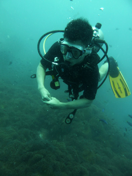 DiveSamui Mar18 090.jpg