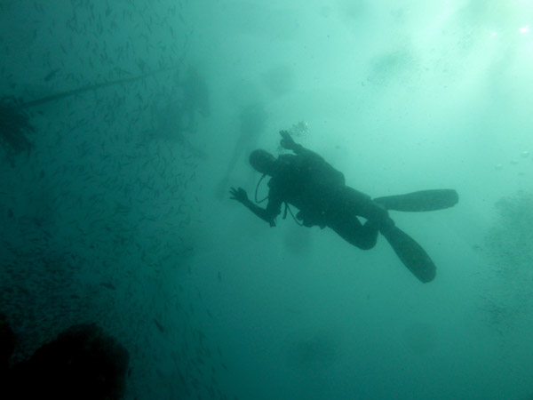 DiveSamui Mar18 120.jpg
