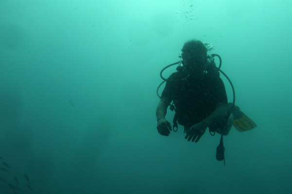 DiveSamui Mar18 121.jpg