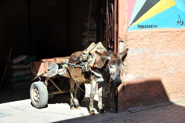 Marrakech May18 017.jpg