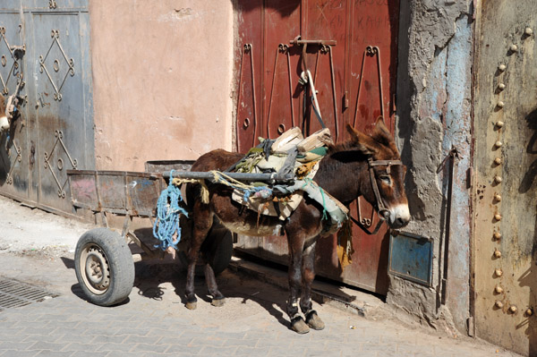 Marrakech May18 296.jpg