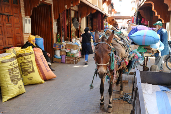 Marrakech May18 121.jpg