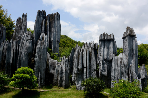 Stone Foest, Yunnan Province