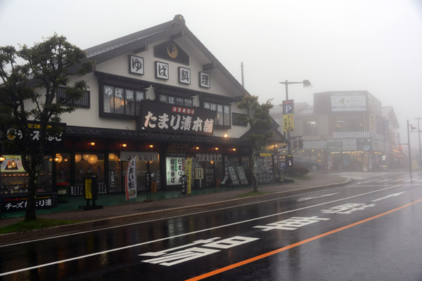 Nikko Oct17 78.jpg