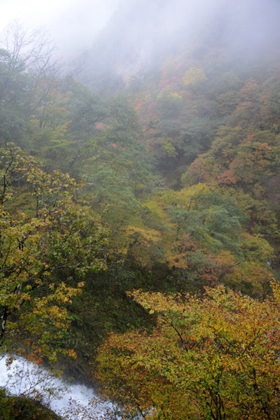 Nikko Oct17 93.jpg