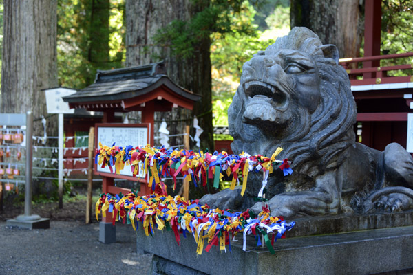 Nikko Oct17 340.jpg