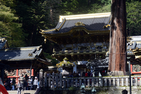 Nikko Oct17 370.jpg