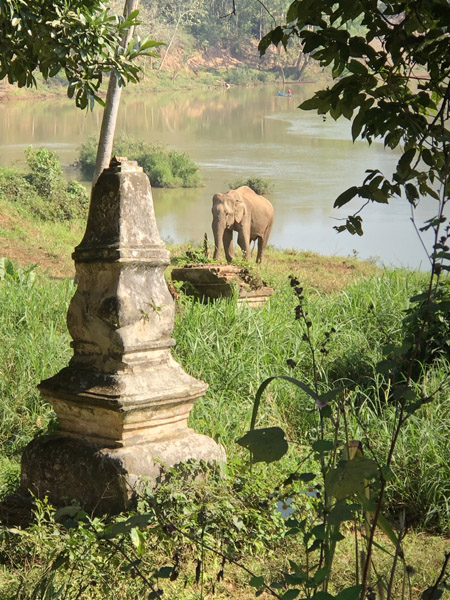 Mekong Jan19 0276.jpg