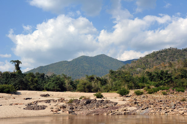 Laos Jan19 499.jpg