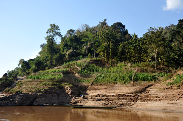 Laos Jan19 543.jpg