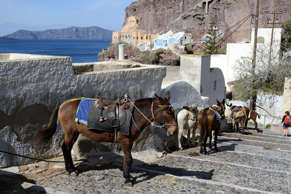 2 options to go from the Old Port to the Caldera Rim, donkey or cable car
