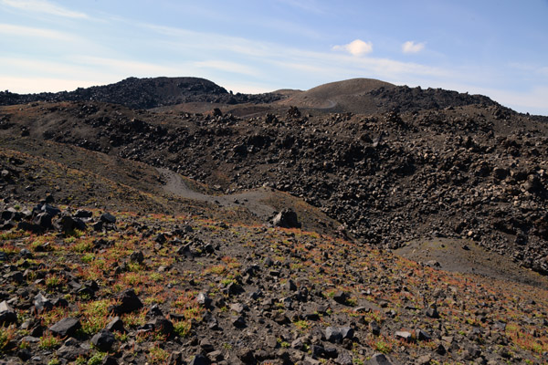 Volcanic island of Nea Kameni