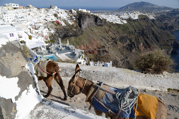 Donkey trains are still used for transportation along the narrow cliff lanes