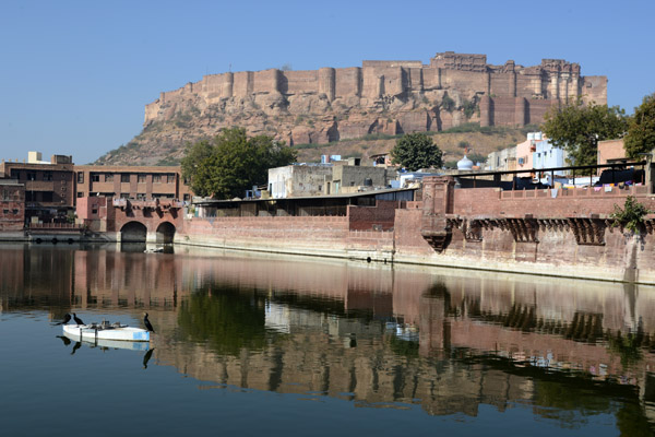 Rajasthan Jan16 3952.jpg