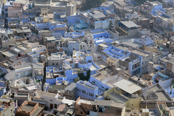 Rajasthan Jan16 3175.jpg