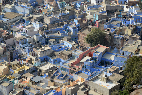 Rajasthan Jan16 3194.jpg