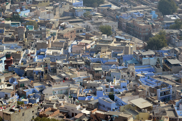 Rajasthan Jan16 3195.jpg
