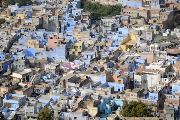 Rajasthan Jan16 3202.jpg