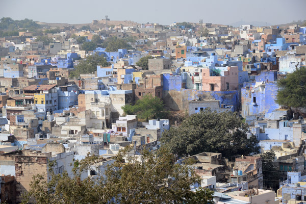 Rajasthan Jan16 3266.jpg