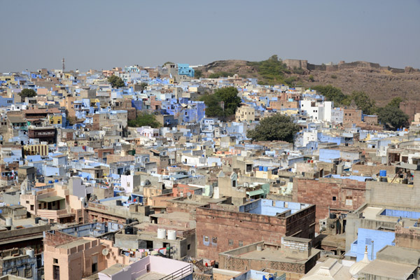 Rajasthan Jan16 3355.jpg