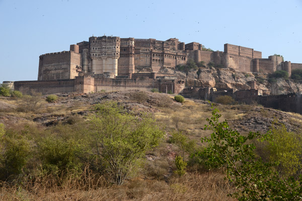 Rajasthan Jan16 3592.jpg