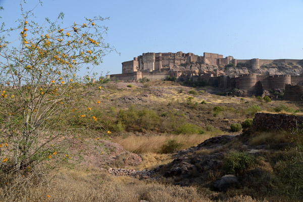 Rajasthan Jan16 3596.jpg