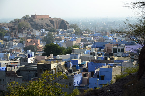 Rajasthan Jan16 3625.jpg