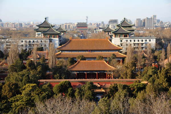 Beijing Mar19 155.jpg